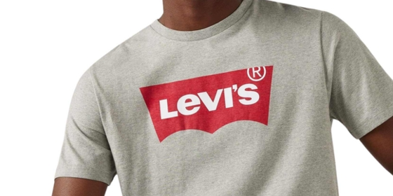Levis Logoshirt Standard Housemark in Midtone Grey ansehen