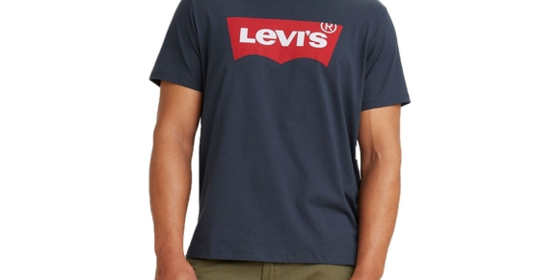 Levis Logoshirt Batwing Tee in Dress Blues ansehen