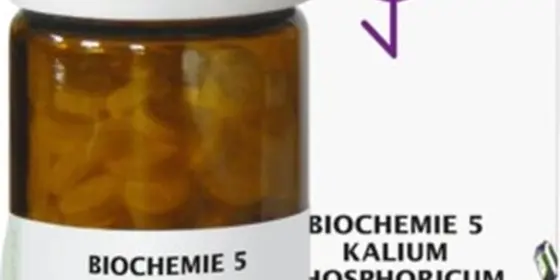 BIOCHEMIE 5 Kalium phosphoricum D 12 Tabletten ansehen