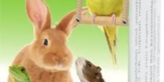 ReVet H 10 Globuli für Heimtiere ansehen