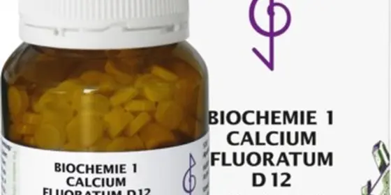 BIOCHEMIE 1 Calcium fluoratum D 12 Tabletten ansehen