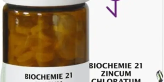 BIOCHEMIE 21 Zincum chloratum D 6 Tabletten ansehen
