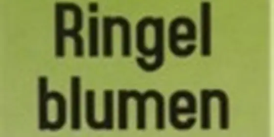 RIVIERA Ringelblumensalbe ansehen