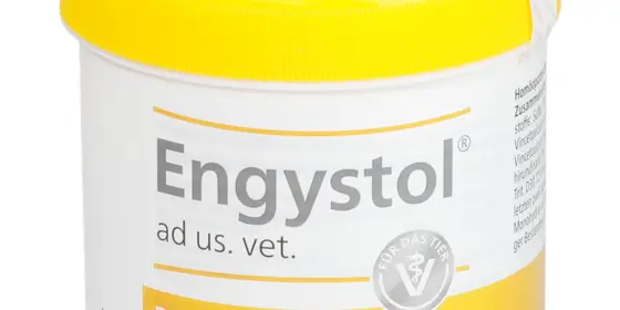 Engystol ad us. vet. ansehen
