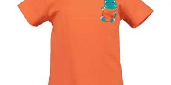 BLUE SEVEN T-Shirt Orange ansehen