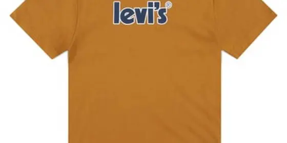 Levi's® T-Shirt mit Aufdruck hellbraun ansehen