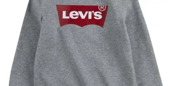 Levi's® Kids Sweatshirt grau ansehen