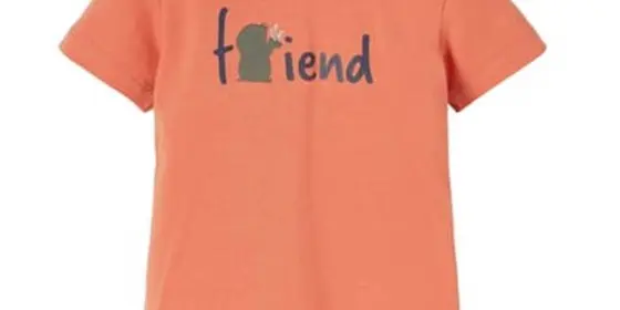 name it T-Shirt NBMDEFAM Apricot Brandy ansehen