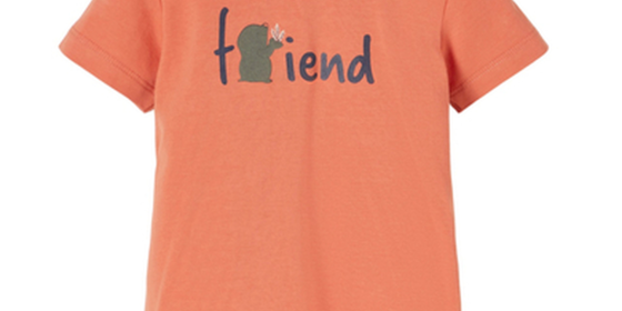 name it T-Shirt NBMDEFAM Apricot Brandy ansehen