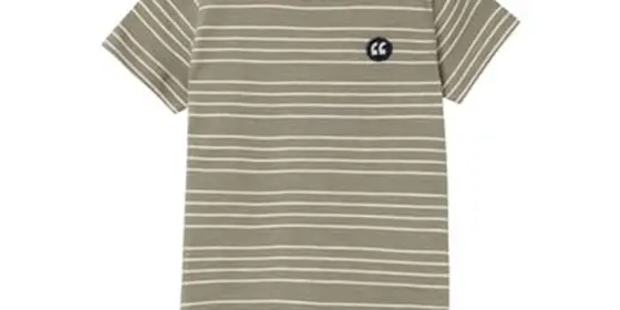 name it T-Shirt Nmmvoby Dried Sage ansehen