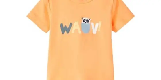 name it T-Shirt Nbmjinus Mock Orange ansehen