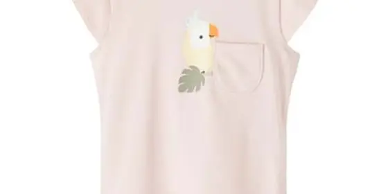 name it T-Shirt Nbfjanna Rose Smoke ansehen