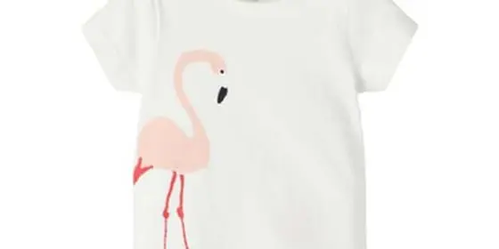 name it T-Shirt Nbfjoy White Alyssum ansehen