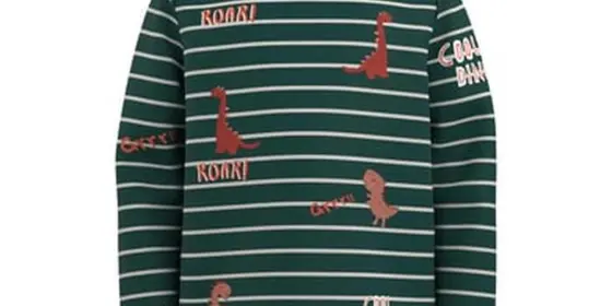 name it Langarmshirt Nmmtenne Forest Biome ansehen