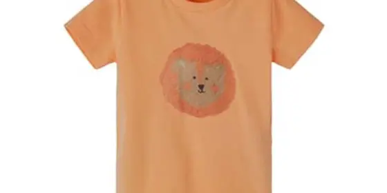 name it T-Shirt Nbmjalte Salmon Buff ansehen