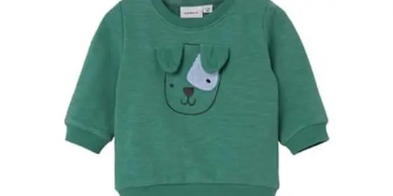 name it Sweatshirt Nbmbenjamin Frosty Spruce ansehen