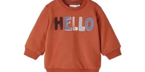 name it Sweatshirt Nbmsteven Arabian Spice ansehen