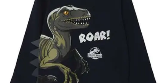 name it Langarmshirt Jurassic World Nmmnol Dark Sapphire ansehen