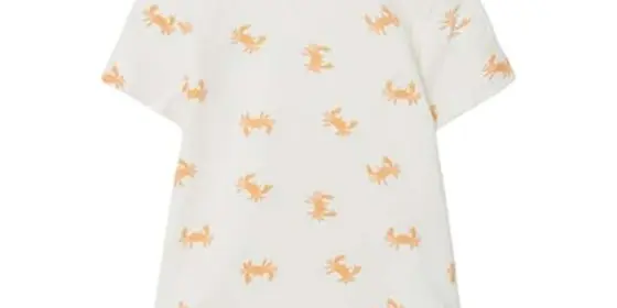 name it T-Shirt Nbmjoe White Alyssum Crab ansehen