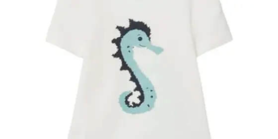 name it T-Shirt Nbmjoe White Alyssum ansehen