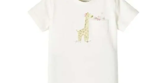 name it T-Shirt Nbfjette White Alyssum ansehen