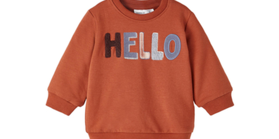 name it Sweatshirt Nbmsteven Arabian Spice ansehen