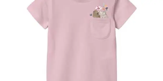 name it T-Shirt Nbfdyriah Parfait Pink ansehen