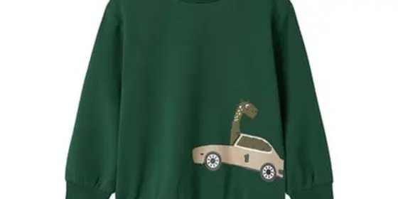 name it Sweatshirt Nmmbarlas Eden ansehen