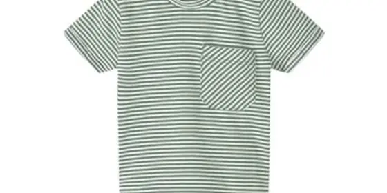 name it T-Shirt Nbmfoas Basil ansehen