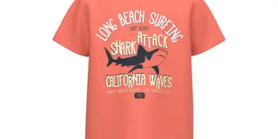 name it T-Shirt Nmmvagno Coral ansehen