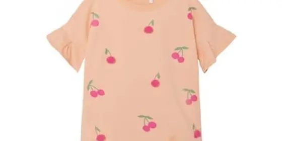 name it T-Shirt Nmffenja Peach Nectar ansehen
