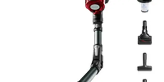Rowenta X-Force Flex 12.60 RH98A8 ansehen