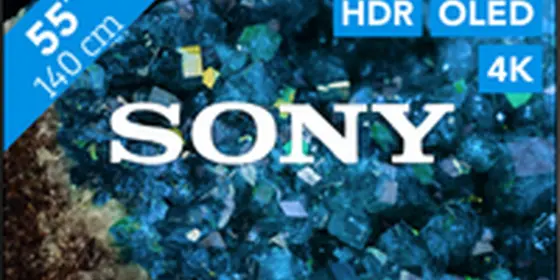 Sony Bravia OLED XR-55A80L ansehen