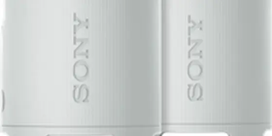 Sony SRS-XB100 Doppelpack Grau ansehen
