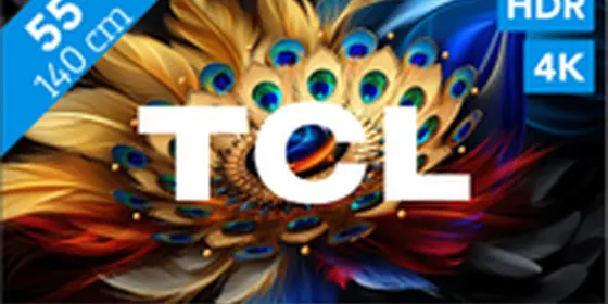 TCL QLED 55C61B (2024) ansehen
