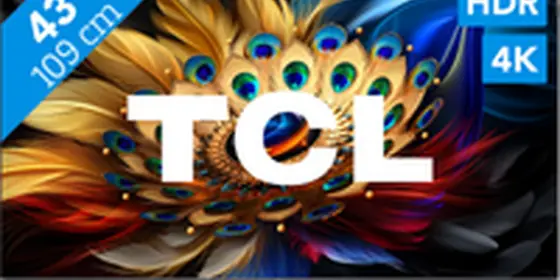 TCL QLED 43C61B (2024) ansehen