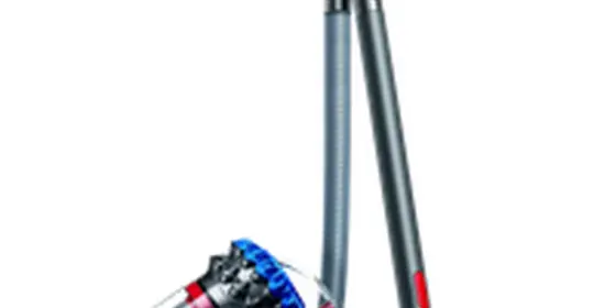 Dyson Big Ball Absolute 2 ansehen
