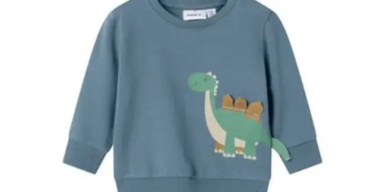 name it Sweatshirt Nbmdalvin Spring Lake ansehen