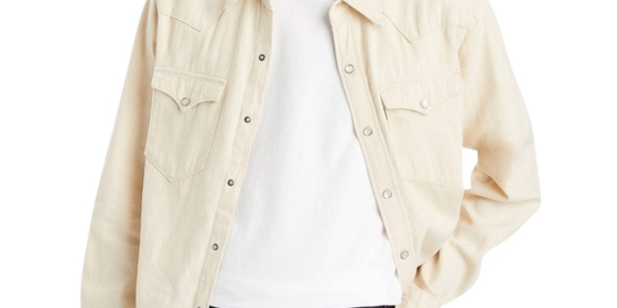 Levis Jeanshemd Barstow Western in Eddlyn Ecru ansehen