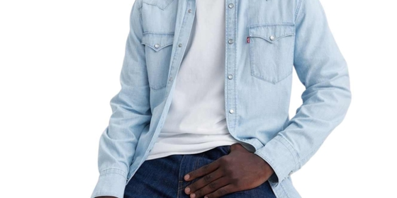 Levis Jeanshemd Barstow Western in Burnett Light Chambray ansehen