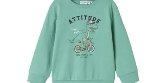 name it Sweatshirt Nmmvalexander Creme De Menthe ansehen