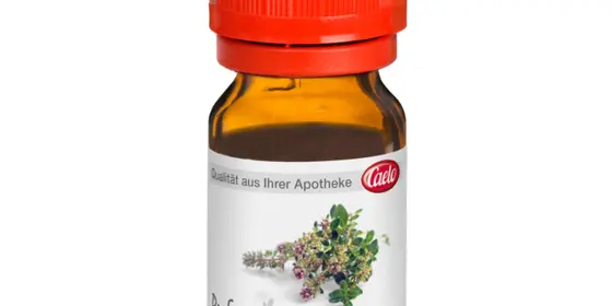 THYMIAN ÖL ProFuma Caelo HV-Packung ansehen
