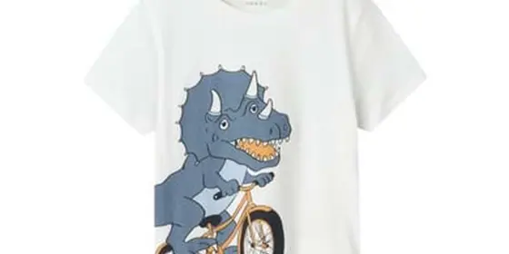 name it T-Shirt Nmmvilasse Bright White ansehen