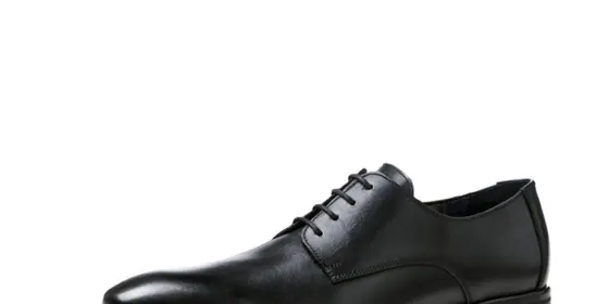 LLOYD Herren Schnürschuhe Gideon, Männer Businessschuhe,Derb... 40,5 ansehen