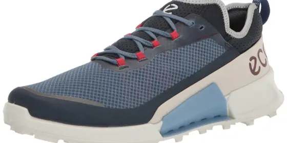 ECCO Herren Biom 2.1 X Country M Low Running Shoe 40 ansehen