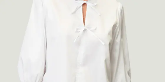 Bluse ansehen