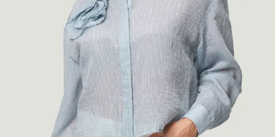 Bluse ansehen