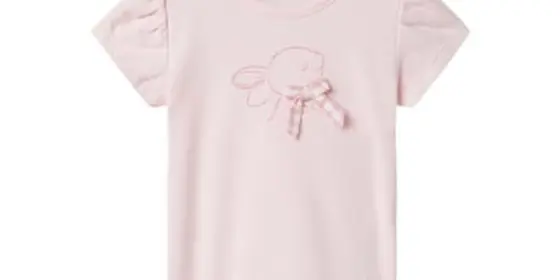 name it T-Shirt Nbfhalmi Ballerina ansehen