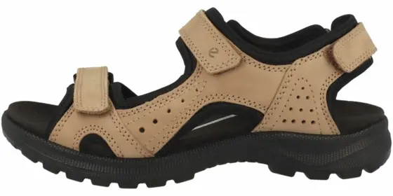- Onrodas Braun - 17-011-2-29-01 37 ansehen