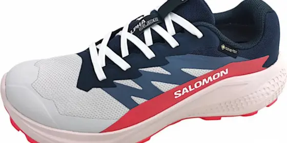 Salomon Alphaglide GTX Dames 4 ansehen